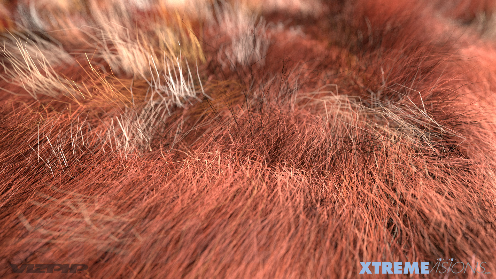 Animal Hair 3D Solid Modeling