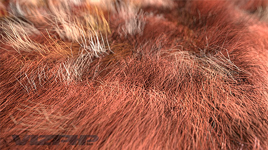 Animal Hair 3D Design Solid Model