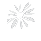 jamie rae hats