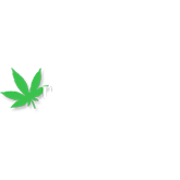 us cannabis network